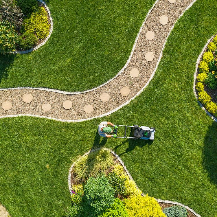 Picture of a lawn landscaped.